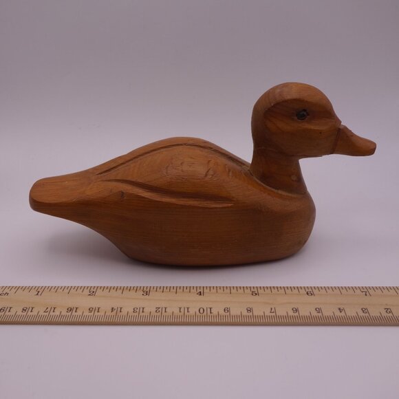 Wood Duck - Picture 7 of 16